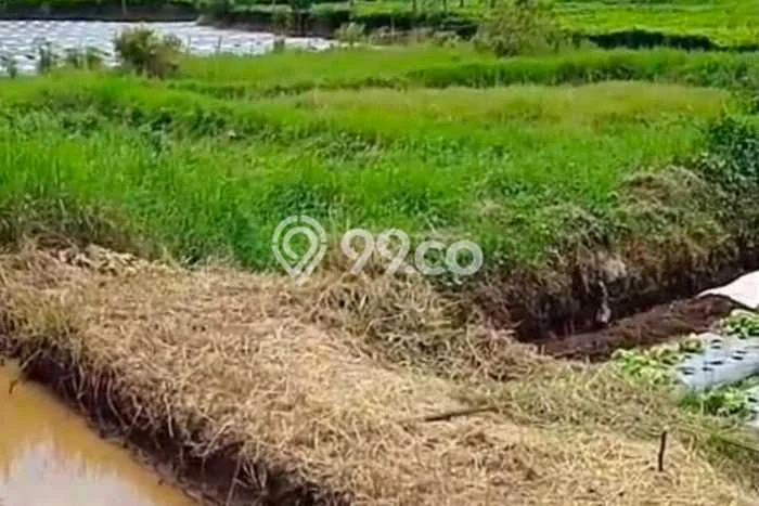 Tanah Dijual Lokasi Ciwidey, Bandung Luas 5600m2 Legalitas Aman Tanah Dijual Lokasi Ciwidey, Bandung Luas 5600m2 Legalitas Aman