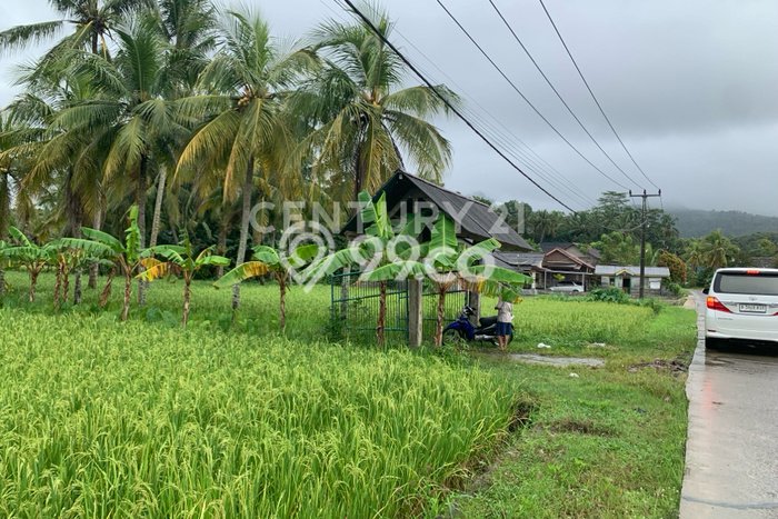 Tanah Dijual Lokasi Carita, Pandeglang dengan Luas Tanah 22433m2 dan Status SHM Tanah Dijual Lokasi Carita, Pandeglang dengan Luas Tanah 22433m2 dan Status SHM