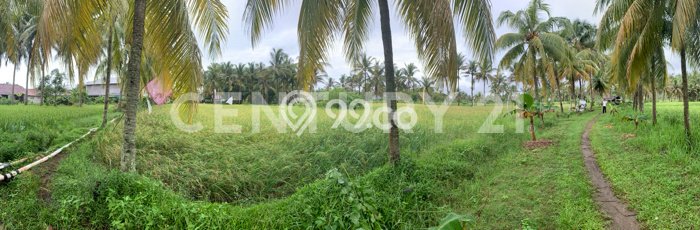 Tanah Dijual Lokasi Carita, Pandeglang dengan Luas Tanah 22433m2 dan Status SHM Tanah Dijual Lokasi Carita, Pandeglang dengan Luas Tanah 22433m2 dan Status SHM