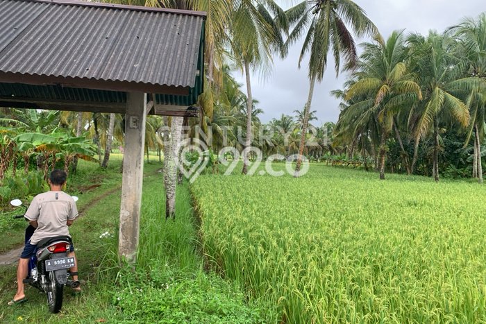 Tanah Dijual Lokasi Carita, Pandeglang dengan Luas Tanah 22433m2 dan Status SHM Tanah Dijual Lokasi Carita, Pandeglang dengan Luas Tanah 22433m2 dan Status SHM