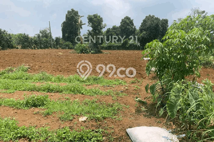 Untuk Dijual Tanah di Bogor, Luas 4000m2 SHM Untuk Dijual Tanah di Bogor, Luas 4000m2 SHM