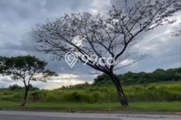 Kavling Tanah di Lippo Cikarang Dijual Luas 15000m2 Legalitas - Kavling Tanah di Lippo Cikarang Dijual Luas 15000m2 Legalitas -