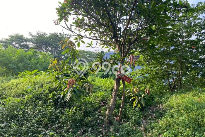 Tanah Dijual di Jakarta Selatan Seluas 146m2 Strategis Tanah Dijual di Jakarta Selatan Seluas 146m2 Strategis