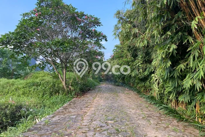 Tanah Dijual di Jakarta Selatan Seluas 146m2 Strategis Tanah Dijual di Jakarta Selatan Seluas 146m2 Strategis