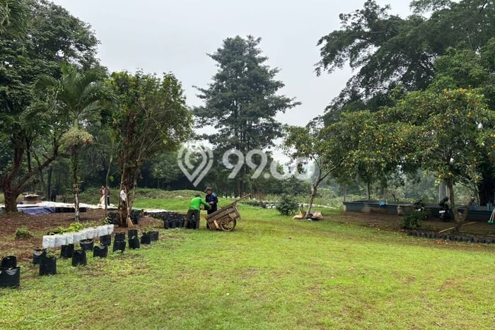 Lahan Dijual Lokasi Citeureup, Bogor dengan Luas Tanah 53000m2 dan Status SHM Lahan Dijual Lokasi Citeureup, Bogor dengan Luas Tanah 53000m2 dan Status SHM