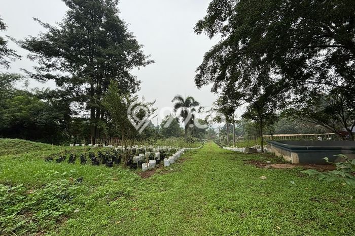 Lahan Dijual Lokasi Citeureup, Bogor dengan Luas Tanah 53000m2 dan Status SHM Lahan Dijual Lokasi Citeureup, Bogor dengan Luas Tanah 53000m2 dan Status SHM
