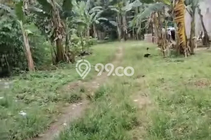 Kavling Tanah untuk Dijual di Ciangsana, Bogor, Luas 3495m2 Kavling Tanah untuk Dijual di Ciangsana, Bogor, Luas 3495m2
