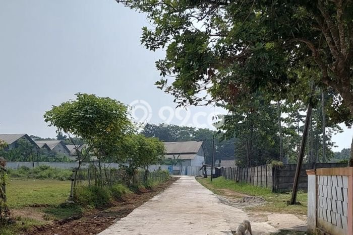 Lahan Kosong Dijual di Lebak dengan Area 7735m2 Lahan Kosong Dijual di Lebak dengan Area 7735m2