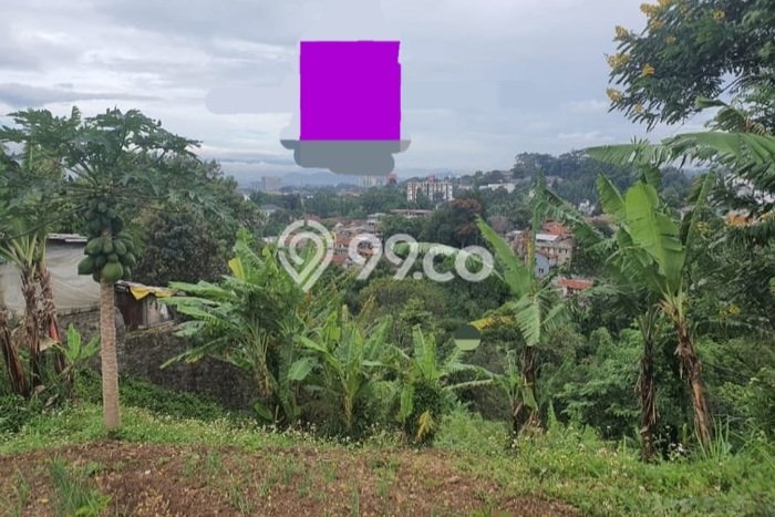 Jarang Ada! Tanah di Cigadung Punya Luas 3890m2 - Jarang Ada! Tanah di Cigadung Punya Luas 3890m2 -