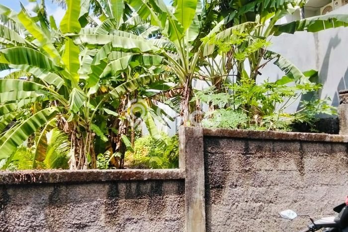 Tanah Komersial Dijual di Denpasar Utara Denpasar 150m2 Tanah Komersial Dijual di Denpasar Utara Denpasar 150m2