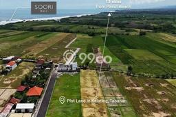 Lahan Dijual Lokasi Tabanan, Tabanan dengan Luas Tanah 1973m2 dan Status SHM Lahan Dijual Lokasi Tabanan, Tabanan dengan Luas Tanah 1973m2 dan Status SHM