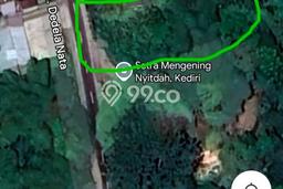 Tanah Kavling Dijual di Tabanan dengan Spesifikasi 1100m2 Tanah Kavling Dijual di Tabanan dengan Spesifikasi 1100m2