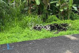 Untuk Dijual Tanah di Badung, Luas 172m2 SHM Untuk Dijual Tanah di Badung, Luas 172m2 SHM
