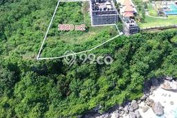 Tanah Dijual di Badung Seluas 2000m2 Strategis Tanah Dijual di Badung Seluas 2000m2 Strategis