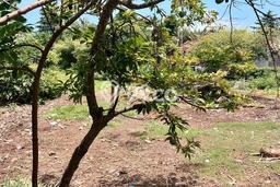 Dijual Tanah di Badung, Luas 2170m2 SHM Dijual Tanah di Badung, Luas 2170m2 SHM