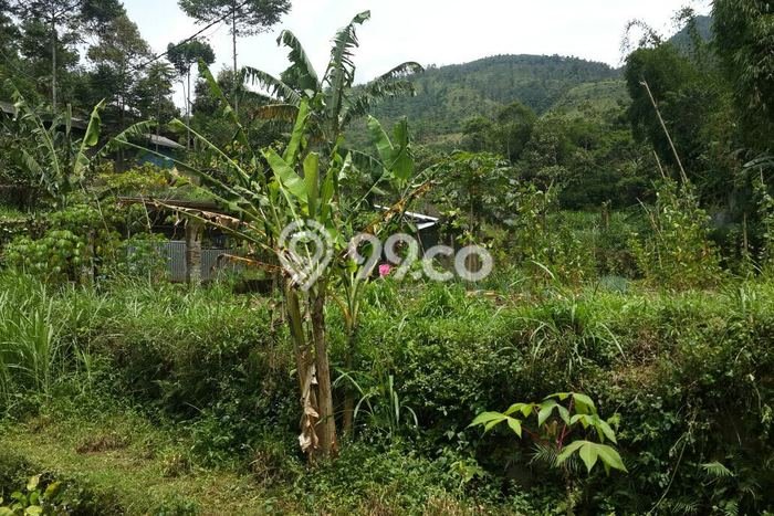Tanah Dijual di Bandung Seluas 3800m2 Strategis Tanah Dijual di Bandung Seluas 3800m2 Strategis