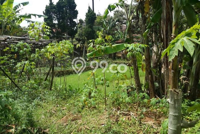 Tanah Dijual di Bandung Seluas 3800m2 Strategis Tanah Dijual di Bandung Seluas 3800m2 Strategis