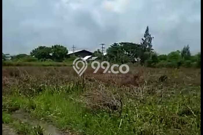 Lahan Dijual Lokasi Widang, Tuban dengan Luas Tanah 40000m2 dan Status SHM Lahan Dijual Lokasi Widang, Tuban dengan Luas Tanah 40000m2 dan Status SHM