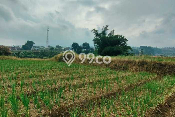 Lahan Strategis di Cianjur Dijual dengan Luas 12340m2 Lahan Strategis di Cianjur Dijual dengan Luas 12340m2