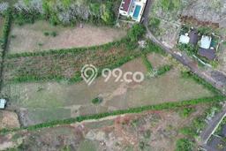 Dijual Tanah Lokasi uluwatu, Badung Seluas 10000m2 Dijual Tanah Lokasi uluwatu, Badung Seluas 10000m2