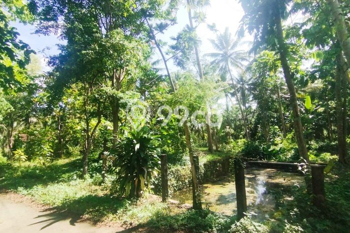 Tanah Dijual di Yogyakarta Seluas 1662m2 Strategis Tanah Dijual di Yogyakarta Seluas 1662m2 Strategis