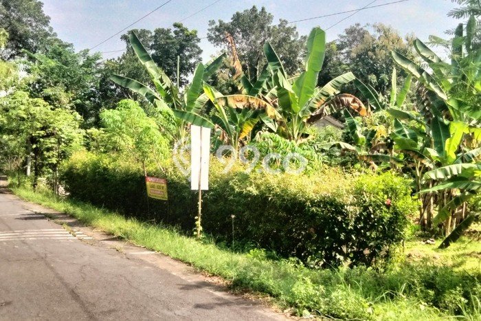 Dijual Tanah di Wates Kulon Progo Luas 620m2 SHM Dijual Tanah di Wates Kulon Progo Luas 620m2 SHM