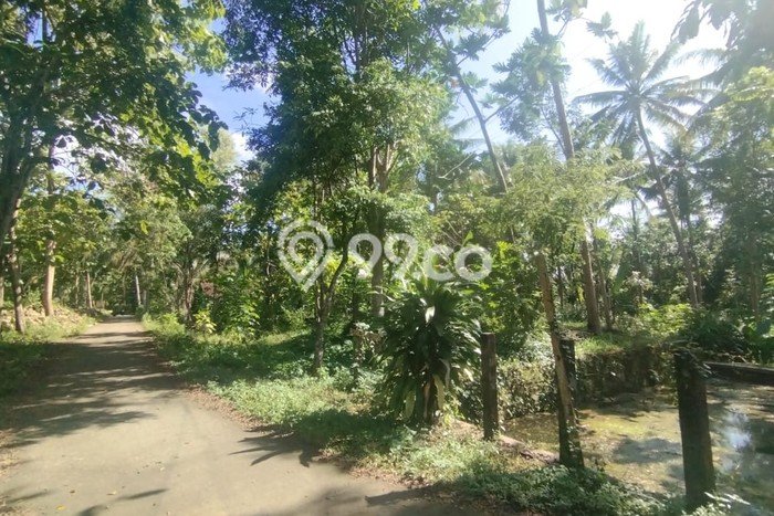 Tanah Dijual di Yogyakarta Seluas 1662m2 Strategis Tanah Dijual di Yogyakarta Seluas 1662m2 Strategis