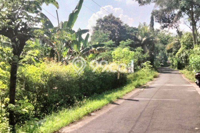 Dijual Tanah di Wates Kulon Progo Luas 620m2 SHM Dijual Tanah di Wates Kulon Progo Luas 620m2 SHM