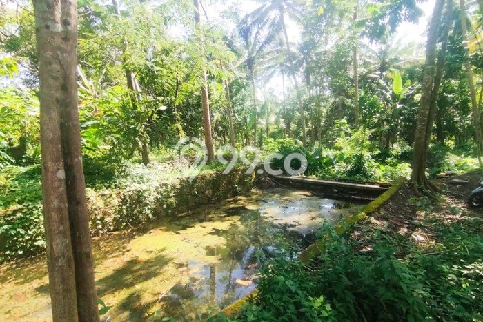 Tanah Dijual di Yogyakarta Seluas 1662m2 Strategis Tanah Dijual di Yogyakarta Seluas 1662m2 Strategis