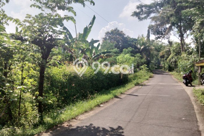 Dijual Tanah di Wates Kulon Progo Luas 620m2 SHM Dijual Tanah di Wates Kulon Progo Luas 620m2 SHM