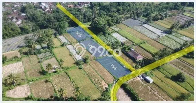 Jarang Ada! Tanah di Sleman Punya Luas 2244m2 SHM Jarang Ada! Tanah di Sleman Punya Luas 2244m2 SHM