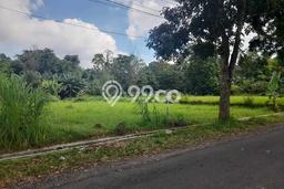 Tanah Strategis Dijual di Sleman Sleman 1247m2 Tanah Strategis Dijual di Sleman Sleman 1247m2