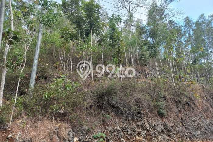 Tanah Kosong Dijual di Pacitan dengan Area 735m2 Tanah Kosong Dijual di Pacitan dengan Area 735m2