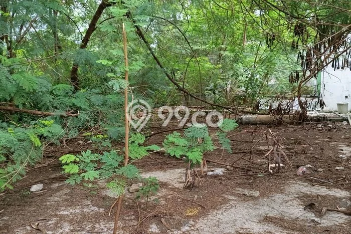 Tanah Dijual di Jakarta Barat Seluas 660m2 Strategis Tanah Dijual di Jakarta Barat Seluas 660m2 Strategis