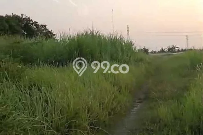 Lahan Kosong Dijual di Karawang dengan Area 25000m2 Lahan Kosong Dijual di Karawang dengan Area 25000m2