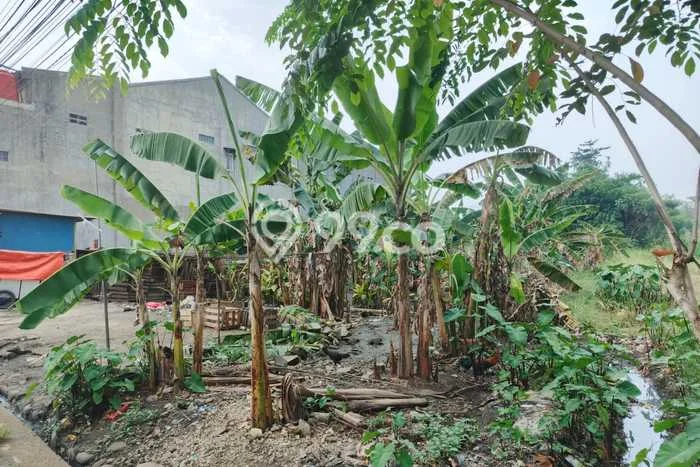 Tanah Dijual Area Strategis di Bekasi Kota Bekasi 780m2 Tanah Dijual Area Strategis di Bekasi Kota Bekasi 780m2