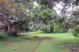 Kavling Tanah Dijual di Gunung Putri, Bogor, Luas 5138m2 Area Strategis Kavling Tanah Dijual di Gunung Putri, Bogor, Luas 5138m2 Area Strategis