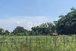 Disewakan Tanah di Cileungsi Luas 4500m2 SHM Disewakan Tanah di Cileungsi Luas 4500m2 SHM