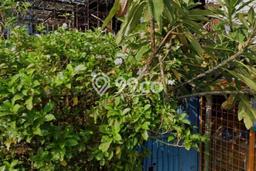Lahan Strategis di Tambora Dijual dengan Luas 200m2 Lahan Strategis di Tambora Dijual dengan Luas 200m2