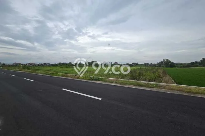 Tanah Kavling di Polanharjo Dijual dengan Luas 9514m2 Tanah Kavling di Polanharjo Dijual dengan Luas 9514m2