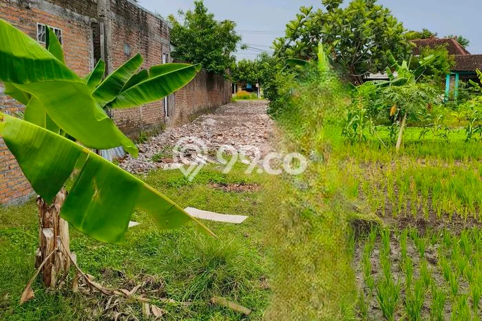 Dijual Tanah Lokasi Mojosongo, Surakarta Seluas 1350m2 Dijual Tanah Lokasi Mojosongo, Surakarta Seluas 1350m2