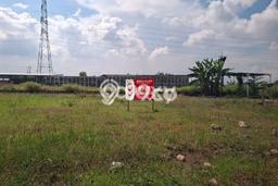 Tanah Kavling untuk Disewa di Driyorejo Gresik 1026m2 Tanah Kavling untuk Disewa di Driyorejo Gresik 1026m2