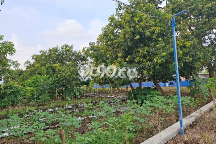 Tanah Strategis Dijual di Menganti Gresik 1080m2 Tanah Strategis Dijual di Menganti Gresik 1080m2