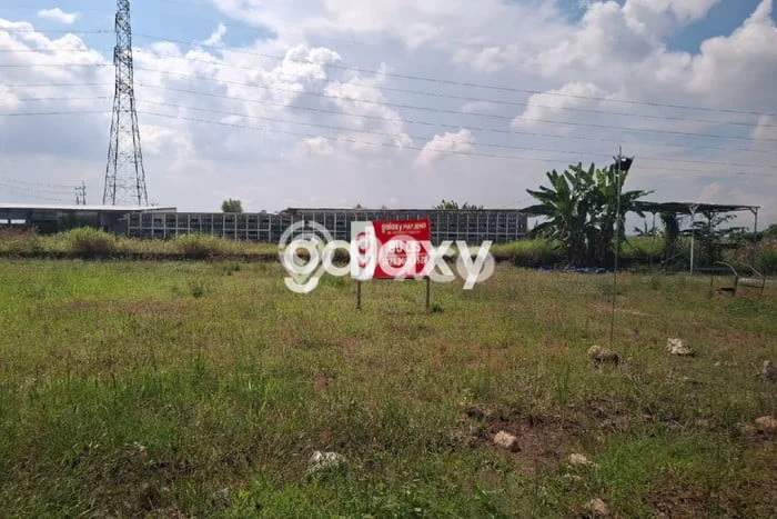 Sangat Dicari! Lahan Kosong Disewakan di Driyorejo, Gresik Sangat Dicari! Lahan Kosong Disewakan di Driyorejo, Gresik