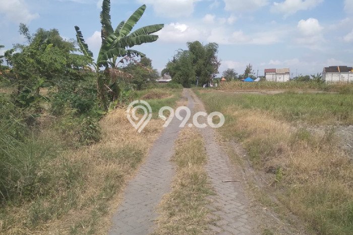 Tanah Dijual Lokasi Kedamean, Gresik Luas 2025m2 Legalitas Aman Tanah Dijual Lokasi Kedamean, Gresik Luas 2025m2 Legalitas Aman