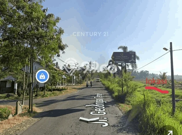 Tanah Kavling di Minggir Sleman Disewakan dengan Luas 520m2 Tanah Kavling di Minggir Sleman Disewakan dengan Luas 520m2