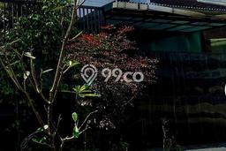 Rumah Terawat kawasan Cicendo, Bandung, LT 168m2m² Bangunan 200m2m² DIJUAL CEPAT! Rumah Terawat kawasan Cicendo, Bandung, LT 168m2m² Bangunan 200m2m² DIJUAL CEPAT!