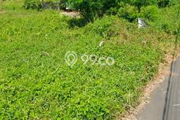 Tanah Kosong Dijual di Denpasar dengan Area 5000m2 Tanah Kosong Dijual di Denpasar dengan Area 5000m2