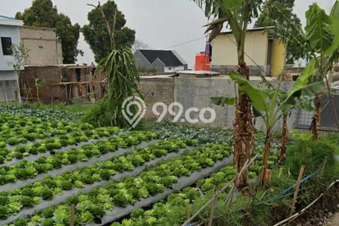 Tanah Komersial Dijual di Lembang Bandung Barat 275m2 Tanah Komersial Dijual di Lembang Bandung Barat 275m2