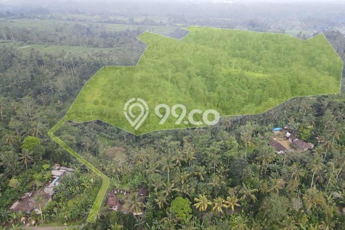 Kavling Tanah di Payangan Dijual Luas 60900m2 Legalitas SHM Kavling Tanah di Payangan Dijual Luas 60900m2 Legalitas SHM
